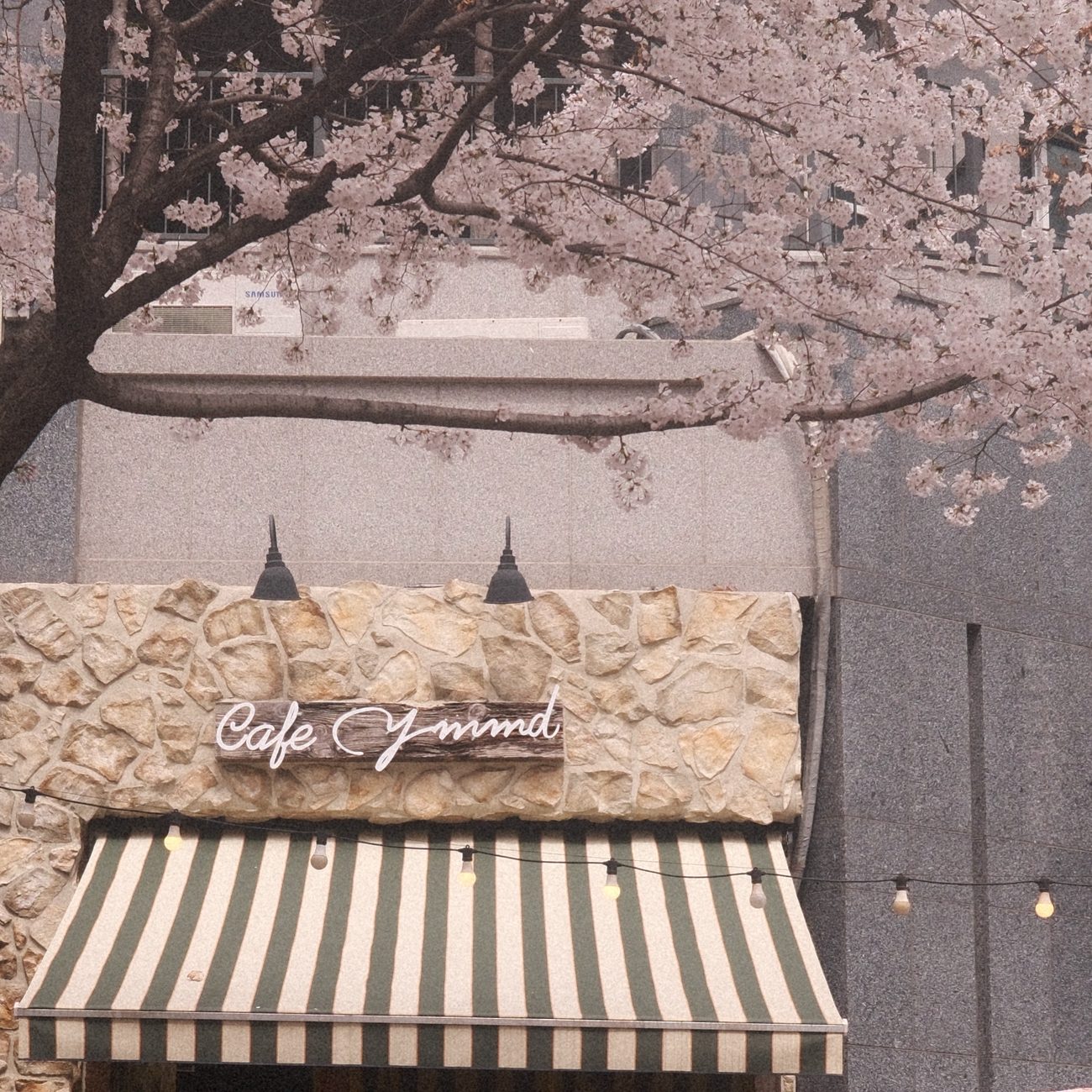YMMD LakePark 사인
